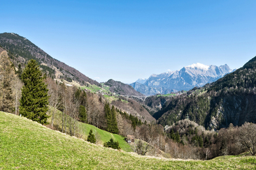 Appartementhaus Quadern (5 Wohnungen) (ctd_e8413db3-b66e-4a82-b398-1f769f8759c3_image)