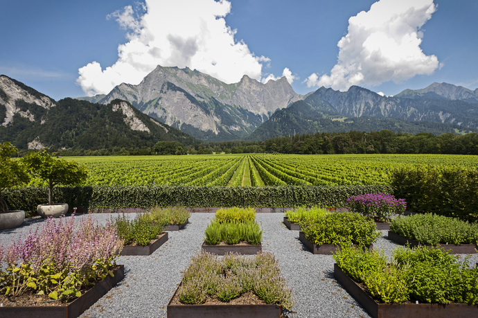 Weingut Davaz (ctd_eaf47ea7-98ff-4f97-822e-279b73857dde_image)