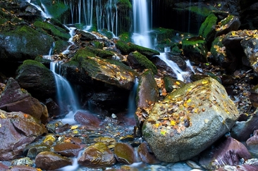 Seeztobel (ctd_ed096d7b-634e-4e7c-9fb6-cbd3bac85905_image)