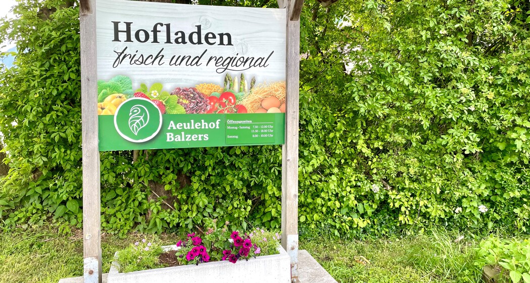 Schild des Hofladens Aeulehof mit Aufschrift „Frisch und regional“ vor grüner Hecke in Triesen.
