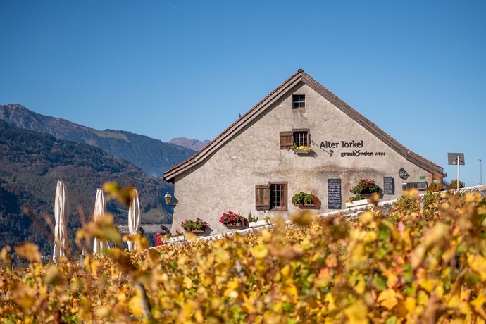 Alter Torkel - Huus vom Bündner Wii (ctd_f632d51_image)