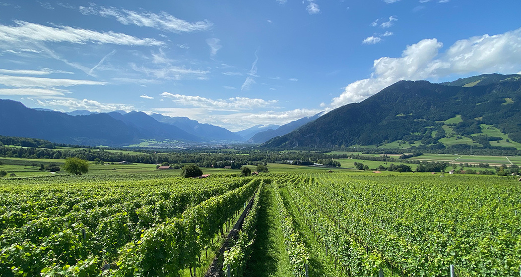 Hotel Gasthof zur Bündte (ctd_f709b951-11a1-48ac-9c24-f99fc63b605e_img02)