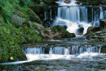 Murgbachschlucht (ctd_f8431716-6c49-460c-a411-de8f8cbcf3c5_image)
