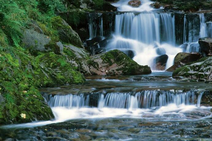 Murgbachschlucht (ctd_f8431716-6c49-460c-a411-de8f8cbcf3c5_image)