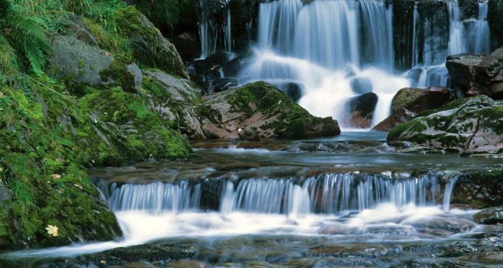 Murgbachschlucht (ctd_f8431716-6c49-460c-a411-de8f8cbcf3c5_image)