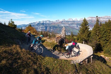 BikerBerg Flumserberg (ctd_fb02190e-90b1-4f4d-95e5-e627dcb71821_image)