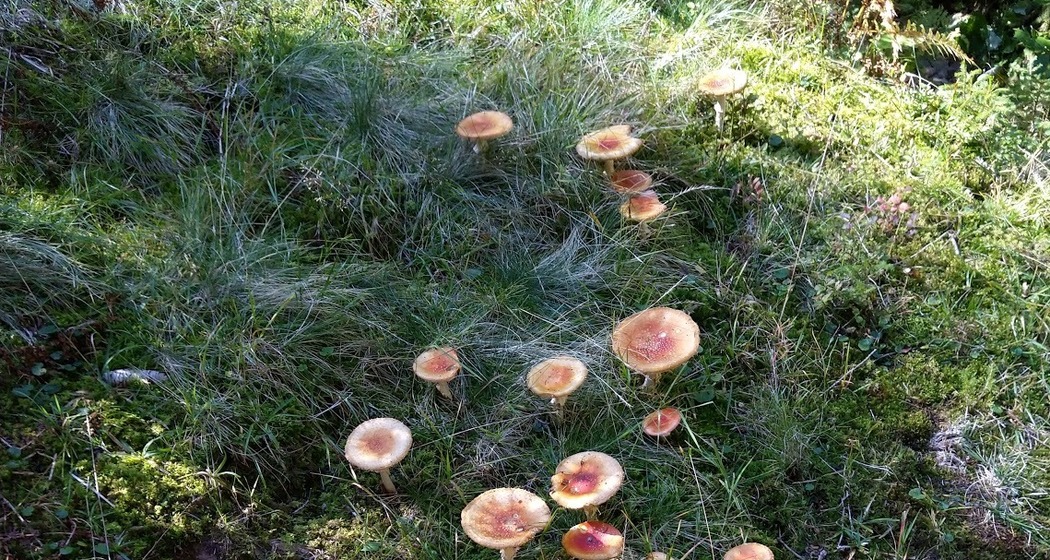 Tanzplatz (ctd_fc464fc_image)