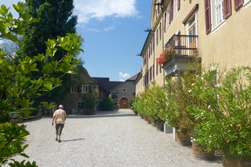 Schloss Salenegg (ctd_fd1f163_image)