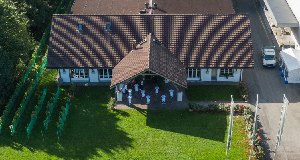 Cottinelli Weinbau (ctd_ff25f490-dad6-4681-b6ab-6453e4f996c1_img01)