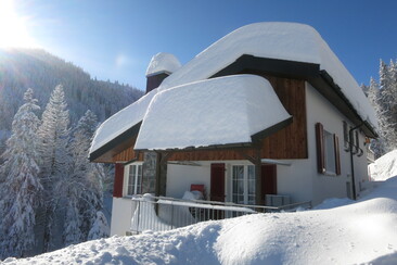 Haus Ahorn (ctd_ff64d91_image)