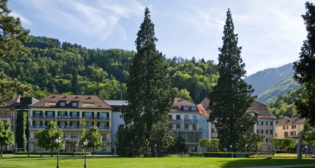 Sequoia-Bäume (ctd_ff92179_image)