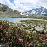 Surettaseen-Weg (chm_008f56a_img)