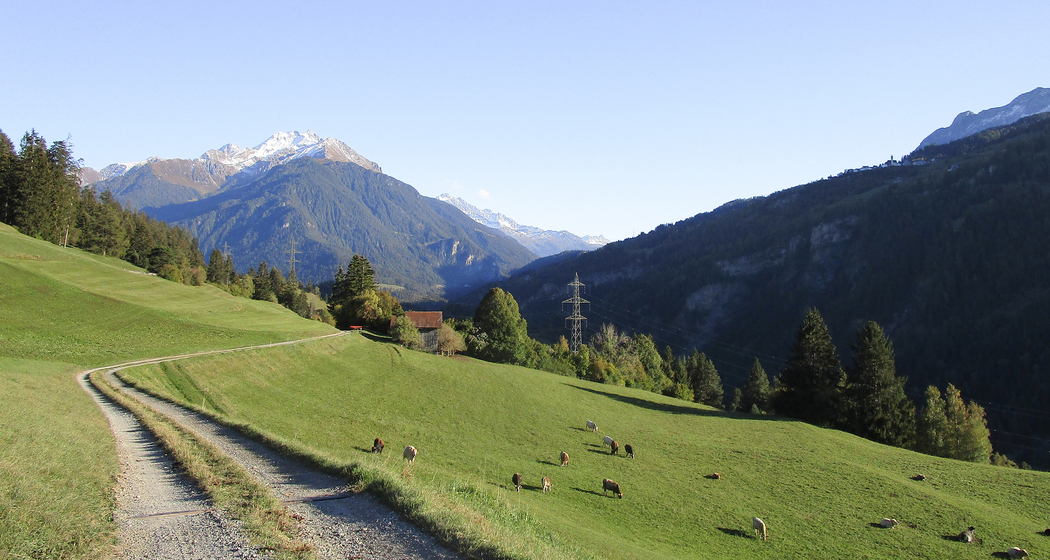 Alpine Bike: Etappe 6 (chm_047c8b4_img)