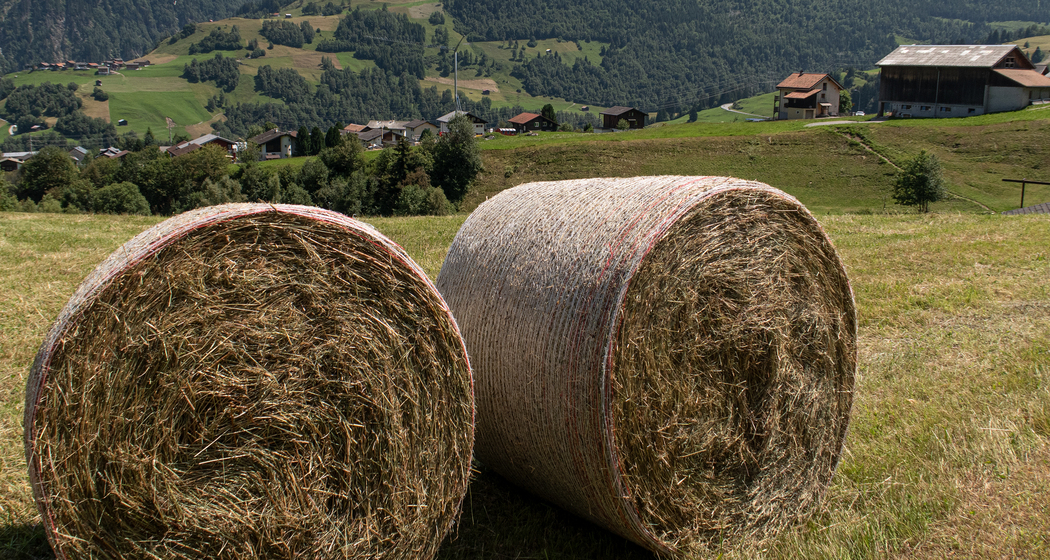 Senda Desertina (chm_064bade_img)