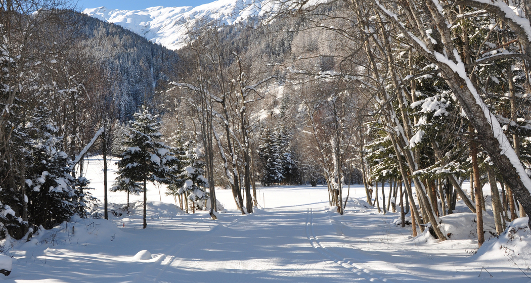 Sursetter-Loipe (chm_06d436f_img)