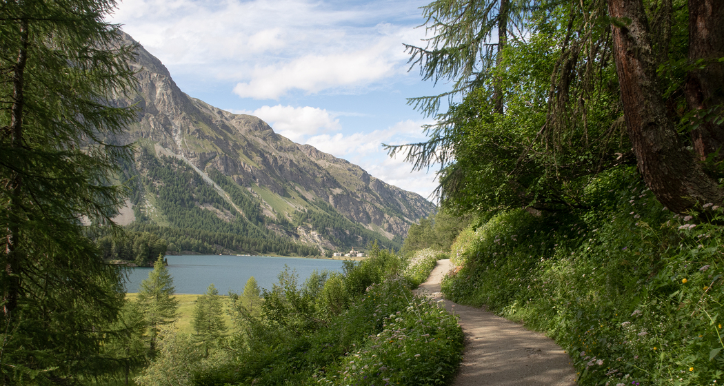 Senda Segantini: Etappe 3 (chm_0b1bd3b_img)