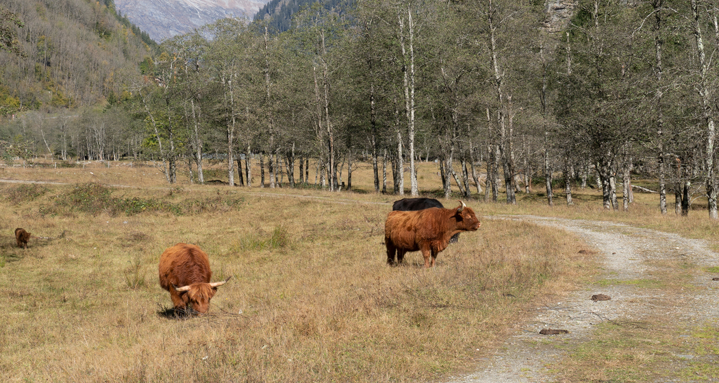 Via Calanca: Etappe 2 (chm_0c092d7_img)