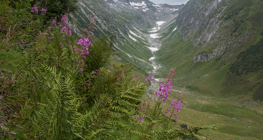 Senda Sursilvana: Etappe 1 (chm_0cf657c_img)