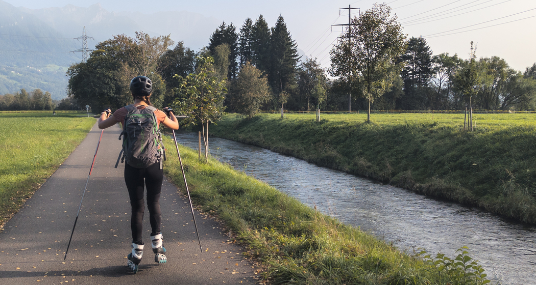 Riau Skate (chm_0e722f4_img)