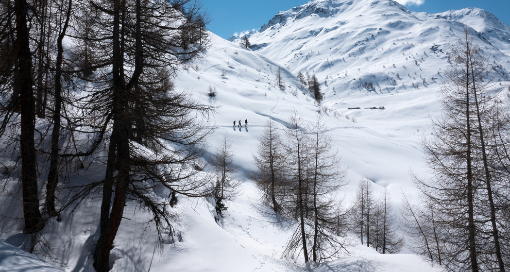 Muotta da Güvè Trail (chm_1112110_img)