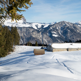 Gampergalt Trail (chm_11e76e5_img)