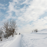 Rundweg Flimserwald (chm_129cc03_img)