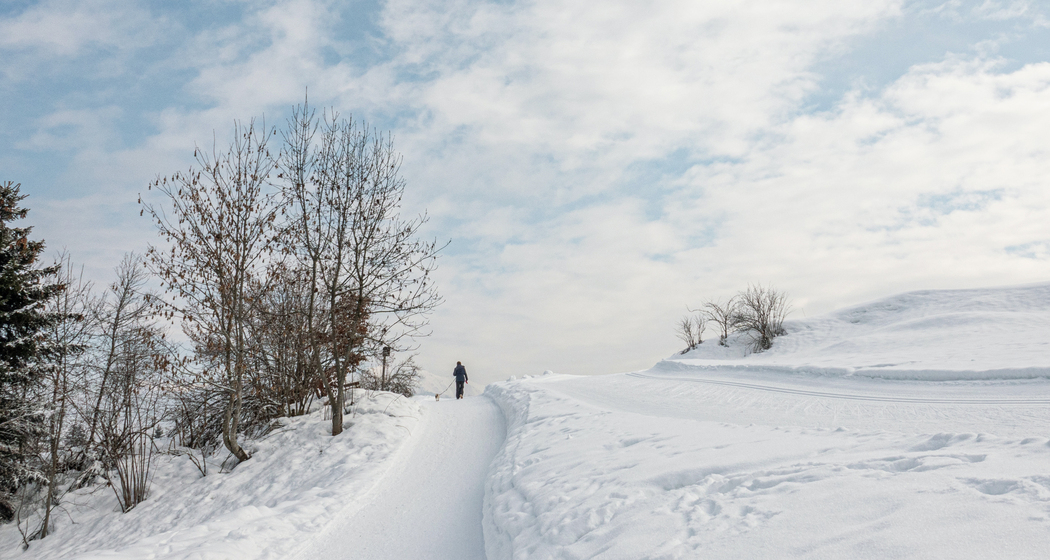 Rundweg Flimserwald (chm_129cc03_img)