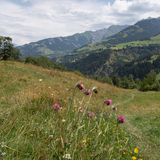 Nino Schurter Bike (chm_13a6bc9_img)