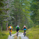 Ochsenalp–Tschiertschen (chm_1984b42_img)