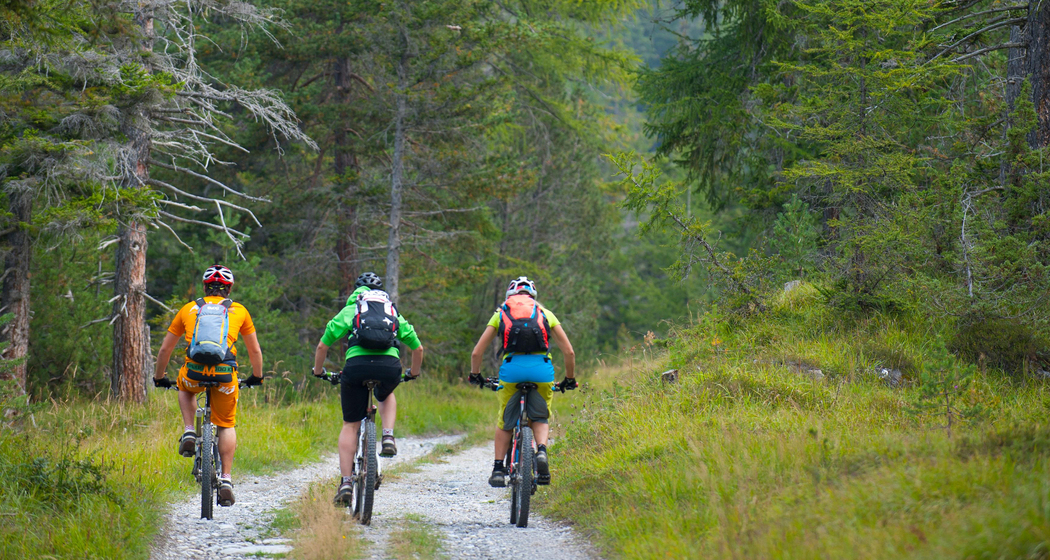 Ochsenalp–Tschiertschen (chm_1984b42_img)