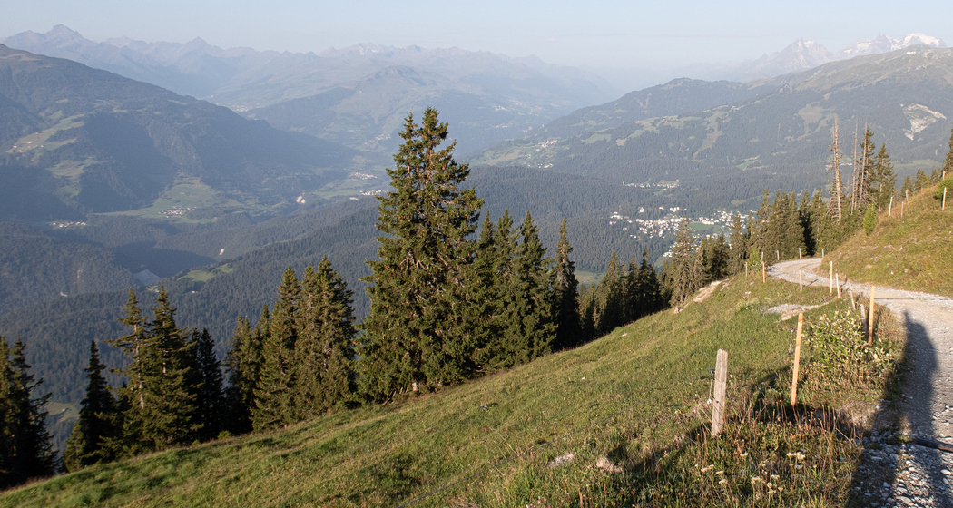 Alp Mora (chm_19d7c12_img)