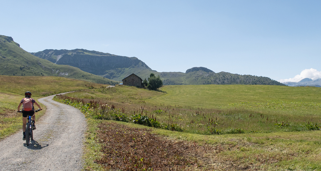 Alp Flix Bike (chm_1c30000_img)