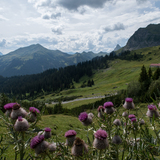 Prättigauer Höhenweg (chm_1cb9758_img)