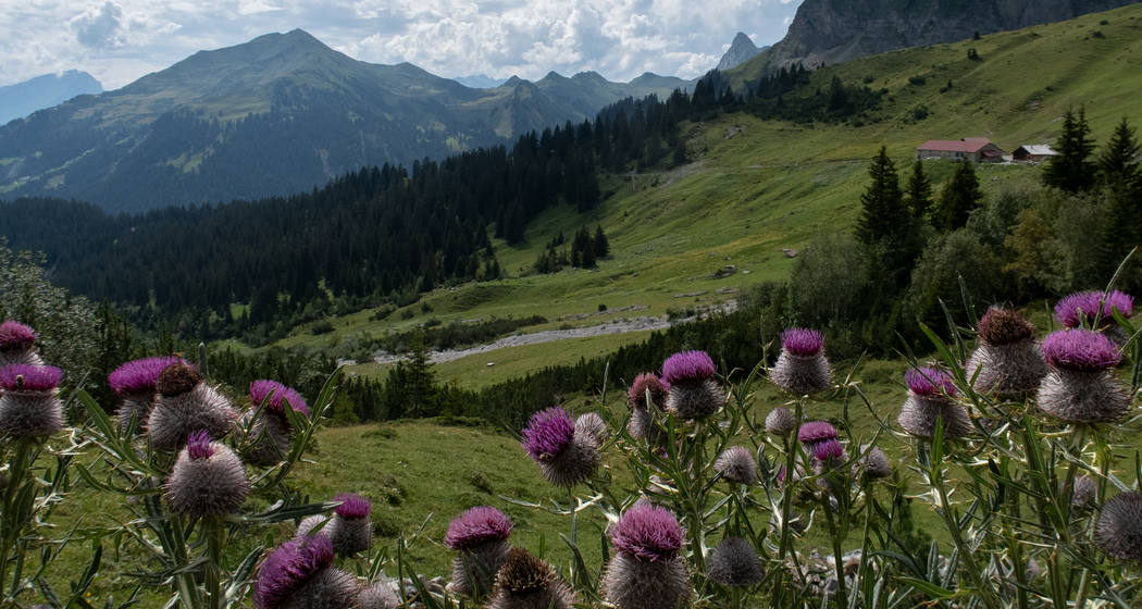 Prättigauer Höhenweg (chm_1cb9758_img)