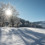 Auen-Rundweg Ilanz-Castrisch (chm_21bf07d_img)