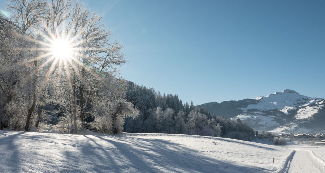 Auen-Rundweg Ilanz-Castrisch (chm_21bf07d_img)