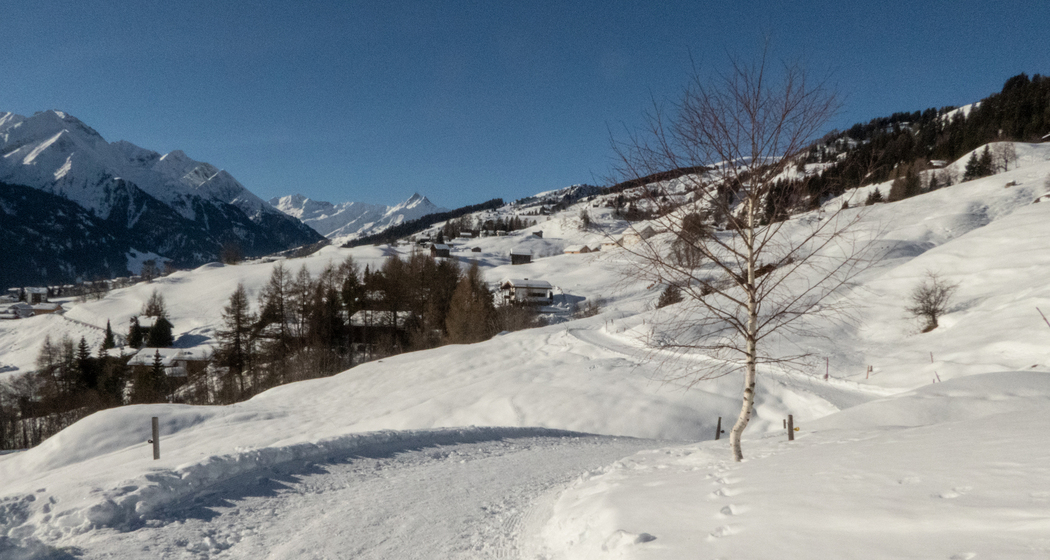 Senda d'unviern Triel (chm_23d3adc_img)