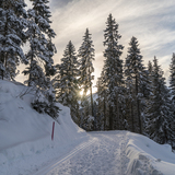 Mittelberg-Weg (chm_272dffb_img)