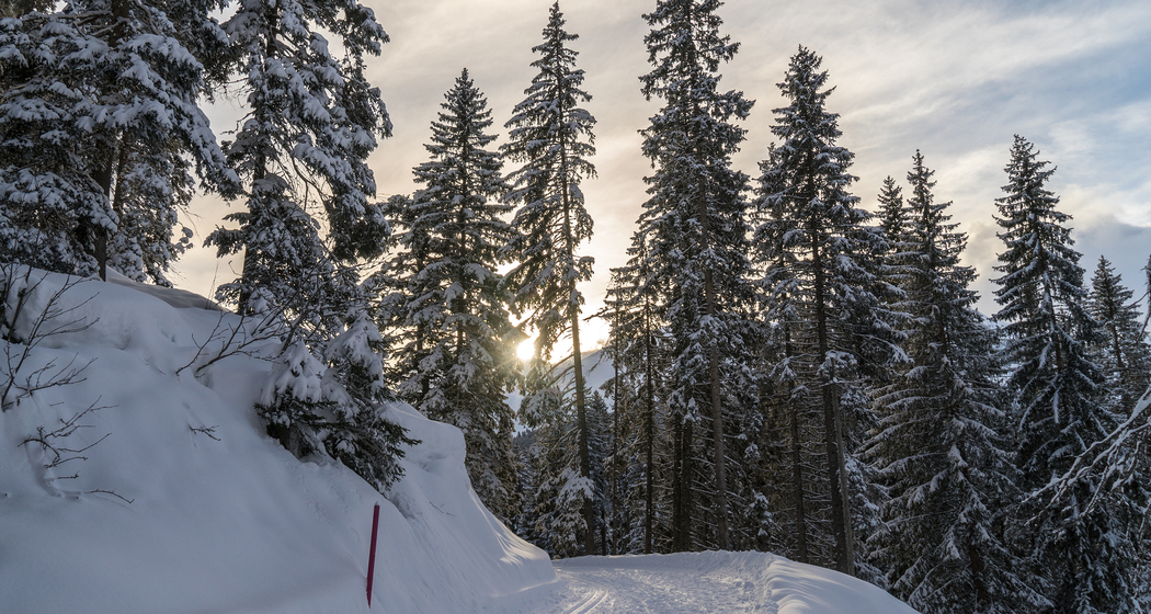 Mittelberg-Weg (chm_272dffb_img)