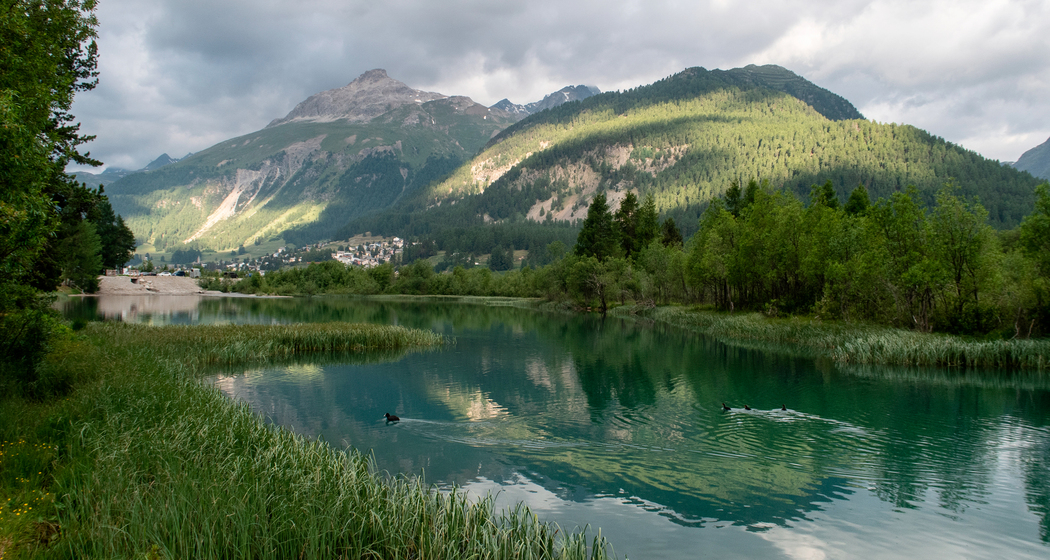 Flaz Uferweg (chm_274e319_img)