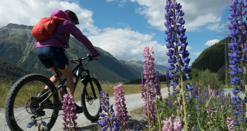 Inn-Radweg: Etappe 1 (chm_2820233_img)