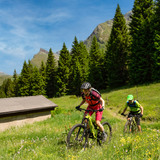 Pignela (chm_2c77b29_img)