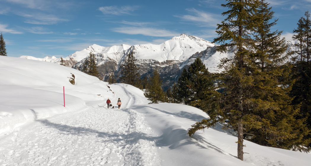 Panoramaweg Gadastatt–Zervreila (chm_31b2d4b_img)