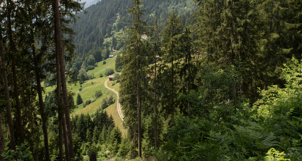 Jakobsweg Graubünden: Etappe 15 (chm_33cc0dd_img)