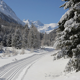 Rosegtal-Loipe (chm_3609904_img)