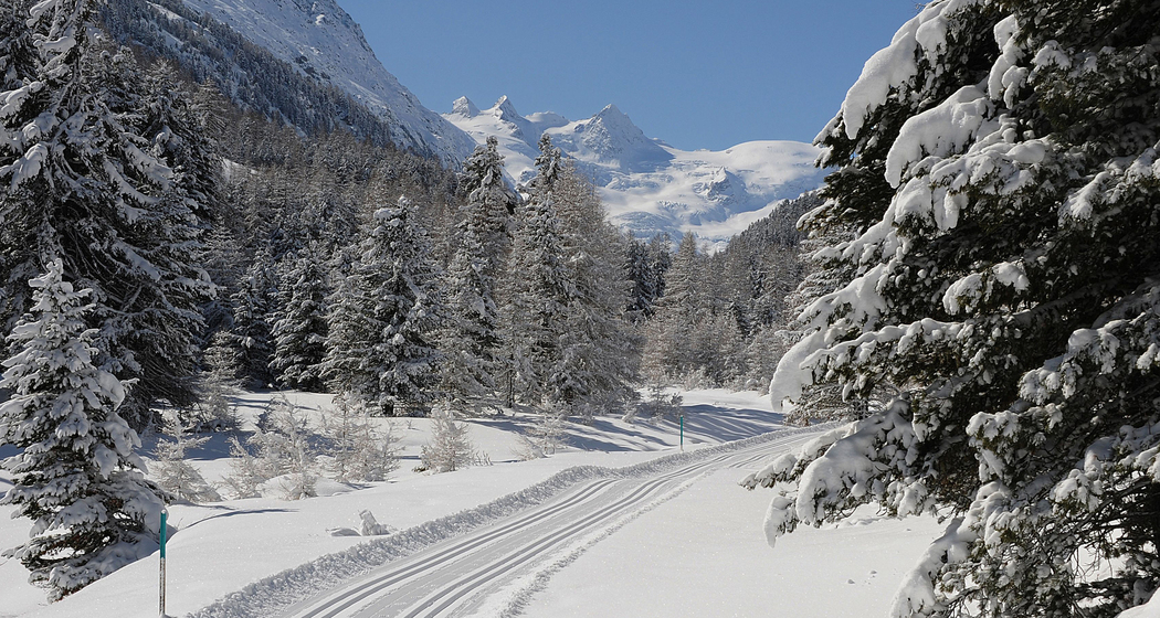 Rosegtal-Loipe (chm_3609904_img)