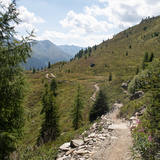 Rinerhorn / Sertig (chm_38d6dca_img)