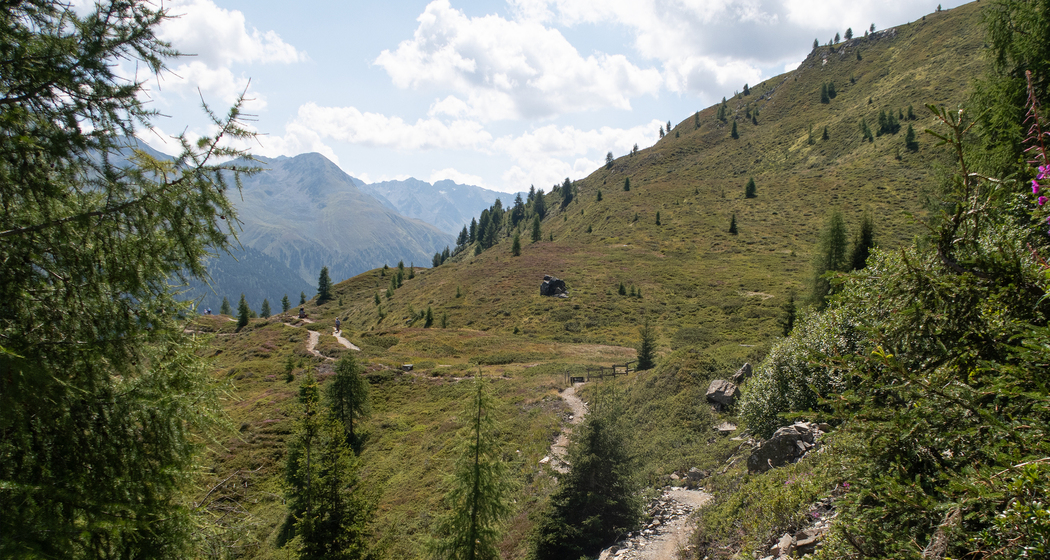 Rinerhorn / Sertig (chm_38d6dca_img)