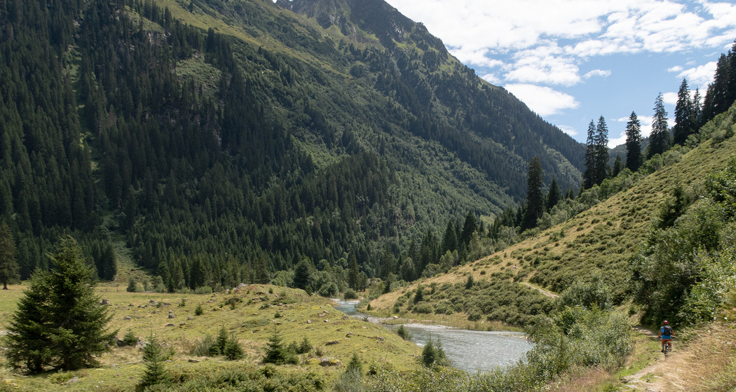 Alp Garfiun (chm_39846bf_img)