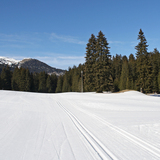 La-Pala-Rennloipe (chm_3ad2f9f_img)